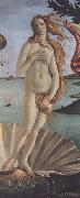 Sandro Botticelli The Birth of Venus china oil painting artist